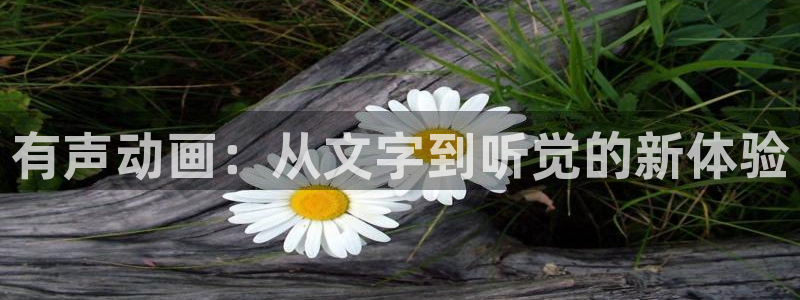 51漫画歪歪漫画免费阅读：有声动画：从文字到听觉的新体验