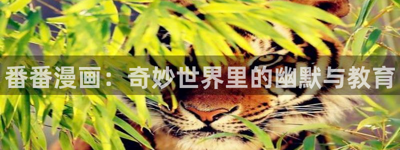 易地思之51漫画在线观看：番番漫画：奇妙世界里的幽默与教育