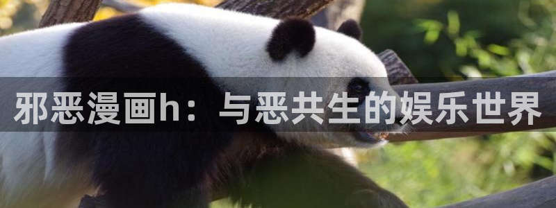 免费漫画软件51漫画：邪恶漫画h：与恶共生的娱乐世界