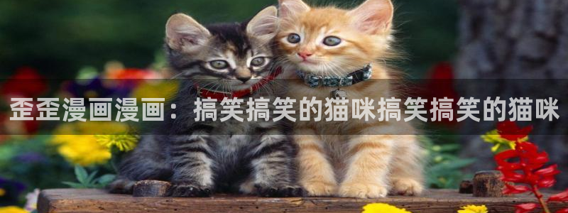 51漫画免费完整漫画在线：歪歪漫画漫画：搞笑搞笑的猫咪搞笑搞笑的猫咪