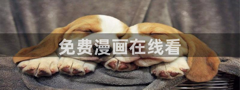 51漫画入口网页：免费漫画在线看