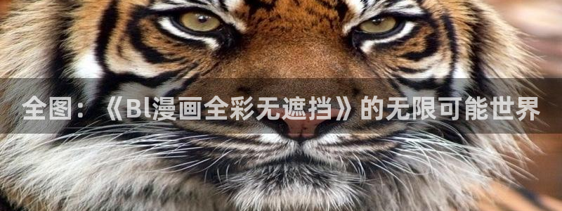 51漫画在线资源：全图：《Bl漫画全彩无遮挡》的无限可能世界