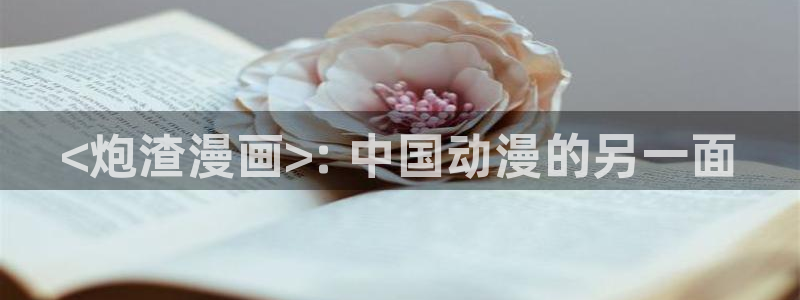 来自深渊51漫画画免费观看完整版：<炮渣漫画>: 中国动漫的另一面